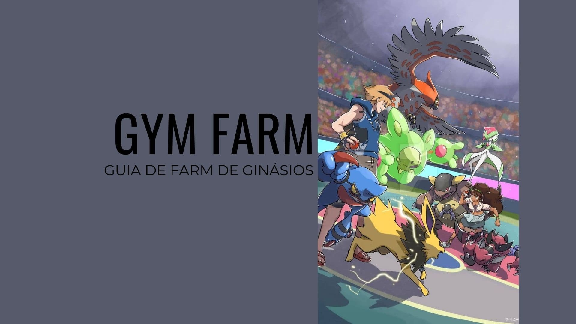 Farm de Ginásios